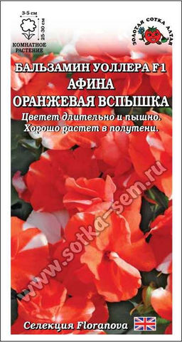 Бальзамин Афина Оранжевая вспышка 5шт. (Золотая сотка Алтая)