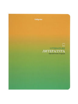 Комплект 12 предметных тетрадей «Градиент», 48 листов, справочная информация, 60 г