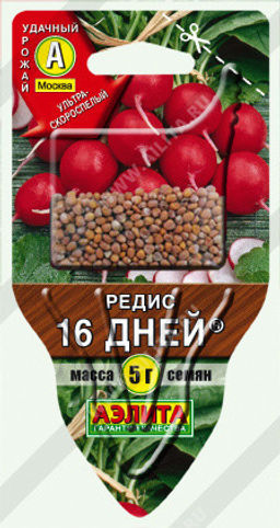 0283A Редис 16 дней 5гр