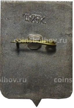 Значок Боровичи