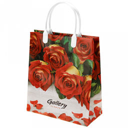 Пакет подарочный мягкий пластик с пластиковой ручкой 23х27см "Галерея", 150 мкм, ламинированный (Россия)