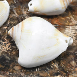 Ракушка морская в натуральном цвете 20*35мм Радуга камня