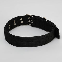 Ошейник четырехслойный, 80 х 4,9 см, ОШ 65-75 см, полиэстер, чёрный - Пижон фото 2