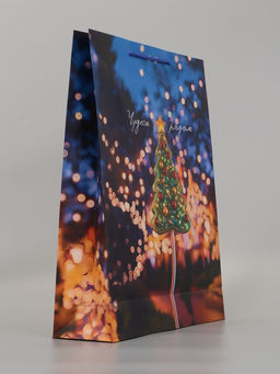 Пакет подарочный «Чудеса рядом», 33×10×42.5 см