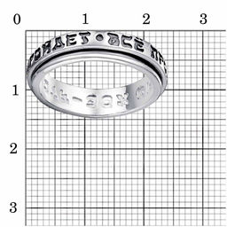КОЛЬЦО 24014720 - Красная пресня фото 2