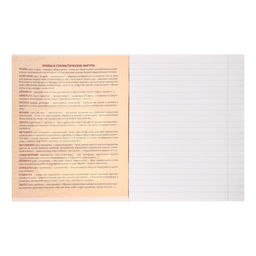 Тетрадь предметная Комикс Аниме 48 листов в линейку Литература, со справочным материалом, обложка мелованный картон, УФ-лак (полный), блок офсет - Calligrata фото 2