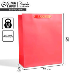 Цена за 2 шт. Пакет подарочный, упаковка, «Алый», M 25.5×30×9 см, МИКС