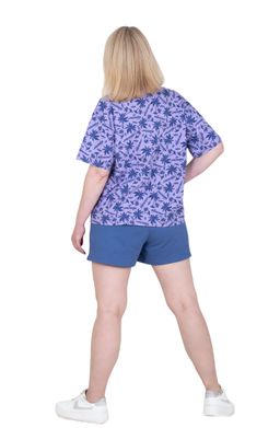 Костюм Пульс К-296 (42-56) кулирка+футер 2-х нитка - Лотос фото 2