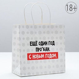 Пакет подарочный Ещё один год, 22 22 11 см