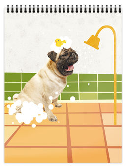 Цена за 5 шт. Блокнот А6 80 л. клетка Schoolformat ПОРТРЕТЫ ПИТОМЦЕВ на гребне, мелованный картон, сплош...