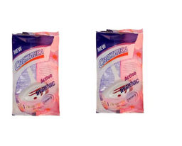 СВЕЖИНКА освежитель-подвеска WC 30гр Цветы