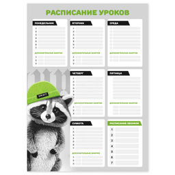 Цена за 2 шт. Расписание уроков А3, арт. 68847/ 50 ЕНОТ В ШАПОЧКЕ (297х420 мм, материал: мелованный картон 235 г/м