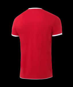 Футболка волейбольная JOGEL CAMP, красный, детский