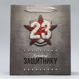 Цена за 2 шт. Пакет подарочный ламинированный, упаковка, «С 23 февраля», MS 18×23×10 см