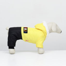 Комбинезон Пушок, размер S (ДС 25 см, ОГ 37, ОШ 28 см), жёлтый - Simaland фото 2