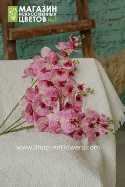 6a3deee392406f477902b81902ae14ba1nij7sye5lzwksore