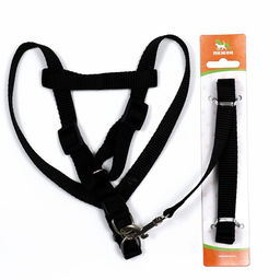 Комплект Базис, поводок 120 х 1,5 см, ОГ 32-46 см, чёрный - Пижон фото 5