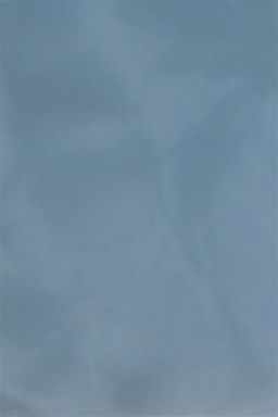 Женский синий кошелек Неожиданная скидка в корзине - U.s. polo assn фото 5