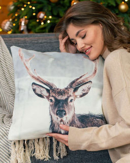 Декоративная наволочка ANG016