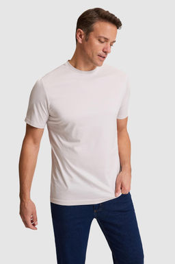 Erkek A__k Gri Regular Fit Bisiklet Yaka Basic Ti__rt