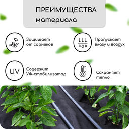 Материал мульчирующий, 10×1.6 м, плотность 60 г/м², спанбонд с УФ-стабилизатором, четыре ряда перфорации, чёрный, Greengo, Эконом 30%