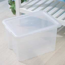 Контейнер для хранения Porter, 21 л, 43×32×27 см, с крышкой, прозрачный