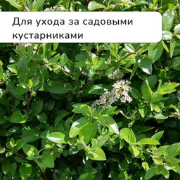 Секатор плоскостной, 7" (18 см), с пластиковыми ручками, Greengo