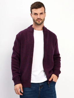 Кардиган мужской GREG G139-RC02 (бордо-синий)  фото 18