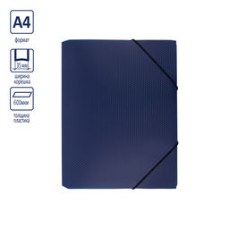 Expert Complete PRISMA Папка на резинке A4 600 мкм 35 мм эффект 3D 5 шт. синий EC210400002
