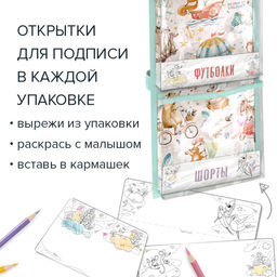 VAL KTR-P-S5P-8521 Кармашек подвесной в детский сад, 5 прозрачных отделений, 85*21 см, ПУТЕШАСТИКИ, шт