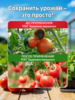 БИО-комплекс Здоровая вершинка, ТМ МАГ, 75 г