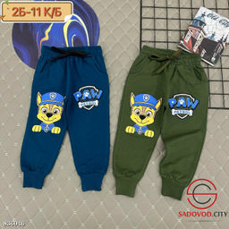 Штаны спортивные детские