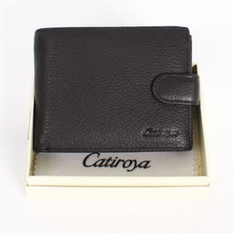 YK Мужское портмоне Catiroya L532-209