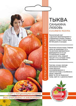 Тыква САНЬКИНА ЛЮБОВЬ коллекция Татьяны Штайнерт  Авторская селекция