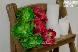 067 Суккулент 7