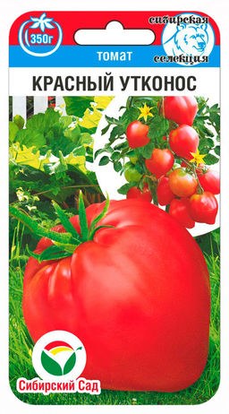 Красный Утконос томат 20шт (сс)