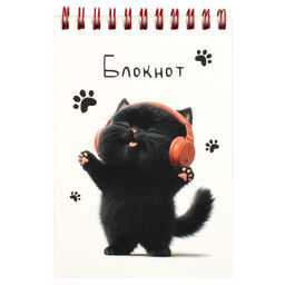 Цена за 2 шт. Блокнот, А6, 80 л, арт. 70972 КОТЕНОК В НАУШНИКАХ
