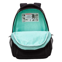 RG-462-2 Рюкзак школьный с обвесом - Grizzly фото 37
