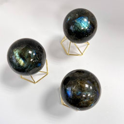 Шар из Лабрадора