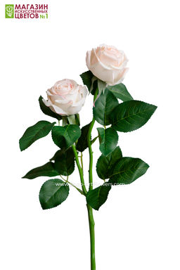 075 Роза двойная пионовидная - Без тм фото 23