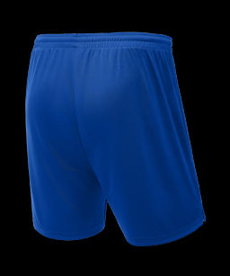 Шорты волейбольные JOGEL CAMP, синий  фото 4