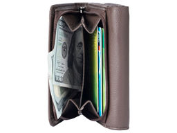 Кошелек Lanotti GL-25-026