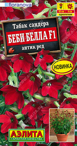Табак сандера Беби Белла F1 антик ред