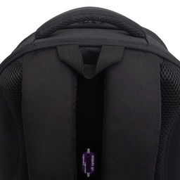 RAz-586-7 Рюкзак школьный - Grizzly фото 30