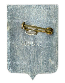 Значок Старая Русса