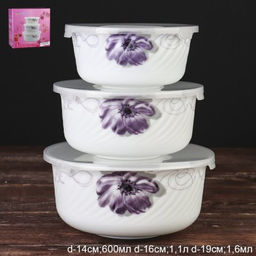 Салатник с крышкой 3 предмета / O3020/3-61008/S /уп 12/ АКЦИЯ