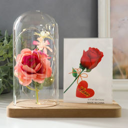 Фоторамка для фото 9?13 см с подсветкой Розовая роза в колбе, от батареек 2?LR1130, 9.8?19.5?18 см