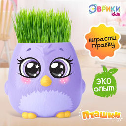 Набор для опытов Пташки, выращиваем травку, фиолетовый горшочек