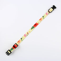 Набор Цветы, застёжка - фастекс, поводок 2 м и ошейник 28-46 см - Пушистое счастье фото 8