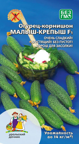 Огурец МАЛЫШ-КРЕПЫШ F1 Самый сладкий! Самый хрустящий! Лучший для засолки! - Уральский дачник фото 3